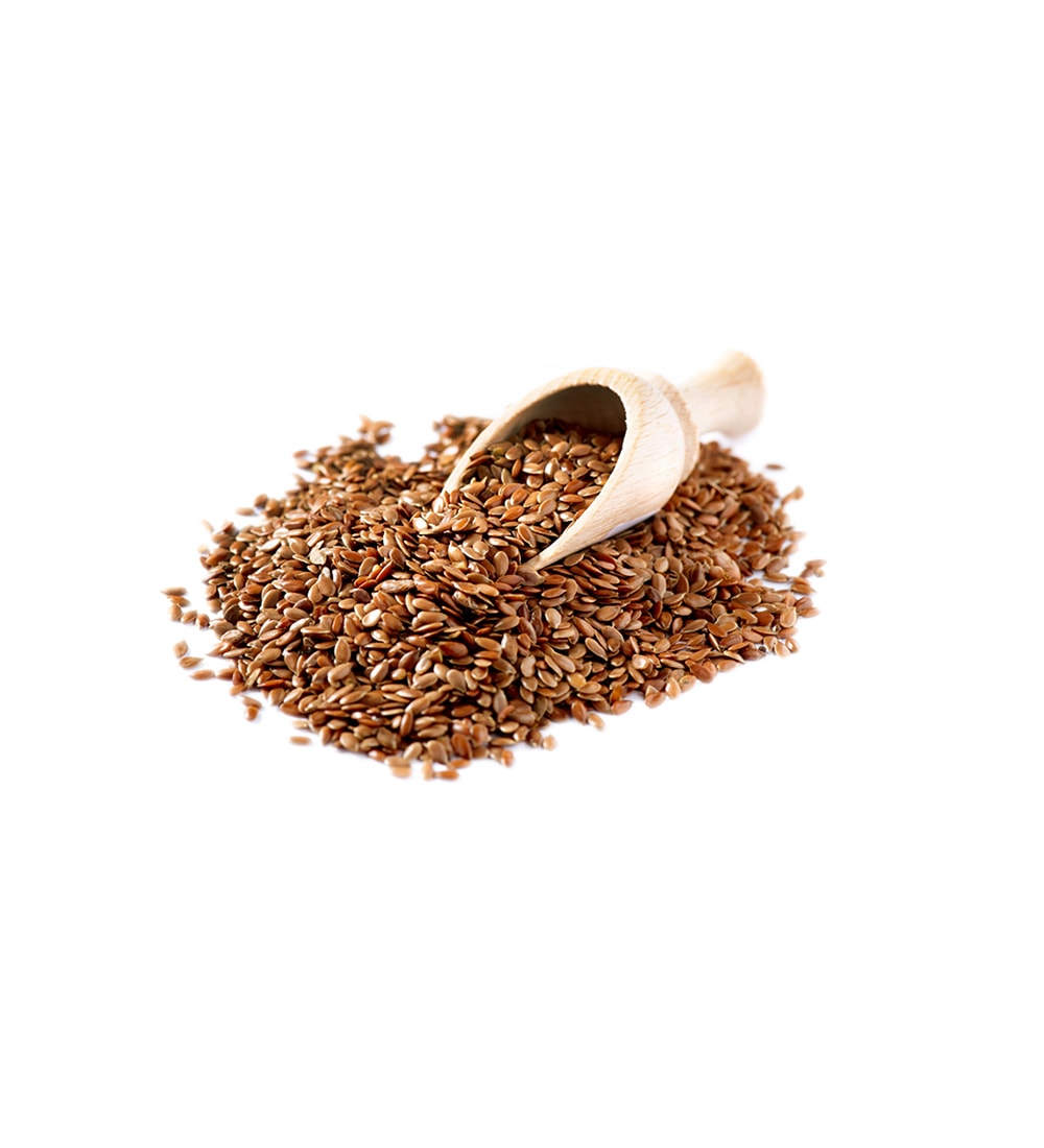 FLAX SEED 100 GM